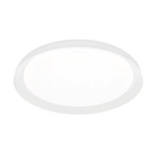 DANCELIGHT 舞光 LED暖陽遙控吸頂燈 30W, 白色 + 銀色