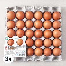 목계촌 1+ 등급 계란 1560g, 30구, 3개
