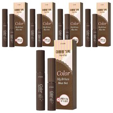 에뛰드 청순 거짓 브라우 카라 4.5g + 9g 대용량 세트, 리치 브라운, 5개