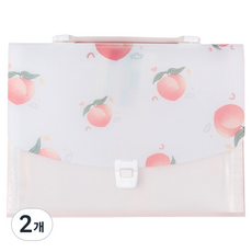 Potenkit 便攜式風琴夾 32.7 x 24.2 x 2.4 cm, 2個, 類型 5