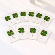 Lead home 充滿好運的真花四葉草護貝卡, 綠色, 10個