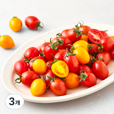 제이드가든 컬러대추방울토마토, 1kg, 3개