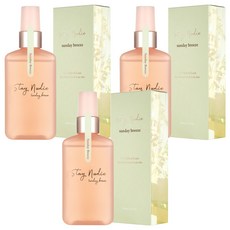 바디홀릭 스테이누디 헤어 앤 바디미스트 선데이 브리즈, 100ml, 3개