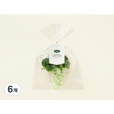 프리미엄 국내산 브로콜리, 250g, 1개입, 6개