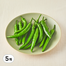 유기농 청양고추, 150g, 5개