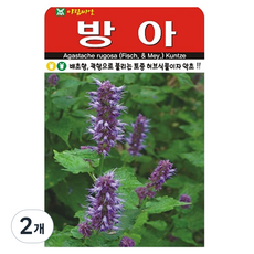 아람종묘 방아 씨앗 1000립, 2개