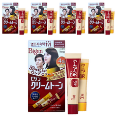 비겐 크림톤 염색제 40g, 4G 자연밤색, 5개