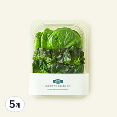 프리미엄 스마트팜 루비 믹스, 100g, 1개입, 5개