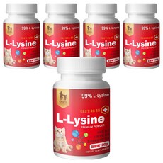 웁스 반려동물 플러스 영양제, 100g, 엘라이신, 5개