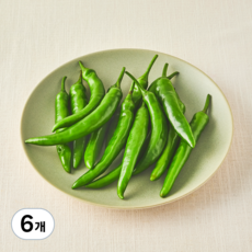 유기농 청양고추, 150g, 6개