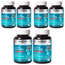 뉴트리디데이 프리미엄 류신 단백질, 90정, 6개