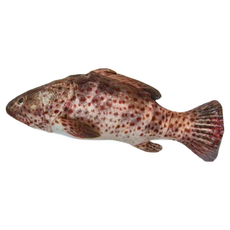 CATWANT 貓咪旺農場 100%木天蓼填充, 加厚大石斑魚, 1個