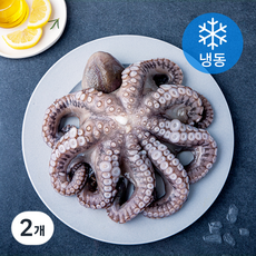 비비수산 깨끗하게 손질한 문어 한마리 (냉동), 2개, 900g