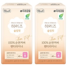 Heyz 슬림핏 팬티라이너, 롱, 40개입, 2개