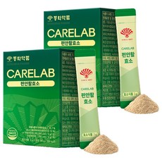 동화약품 케어랩 편안활효소, 2박스, 90g