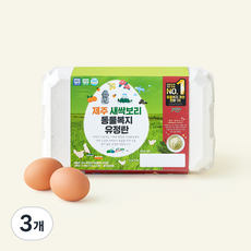 조인 동물복지 인증 제주 새싹보리 갈색 유정란 780g, 3개, 15구