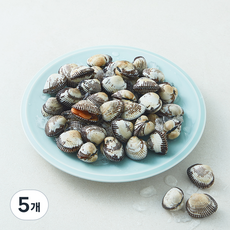 아라보감 여수 생물 새꼬막 (냉장), 5개, 500g