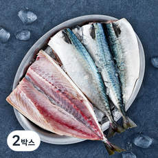 부산13번중매인 생물 고등어 구이용 (냉장), 700g(중, 3미), 2박스
