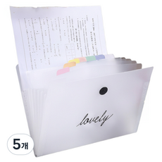 베냥미 12칸 서류 정리 아코디언파일, 혼합색상, 5개