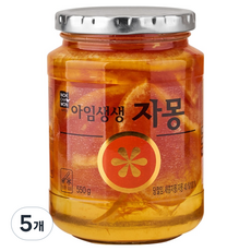 녹차원 아임생생 자몽, 550g, 5개