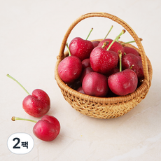 곰곰 칠레산 점보 체리, 400g, 2팩