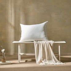 HUGUARD Microfilever 高克重高枕芯, 白色, 1個