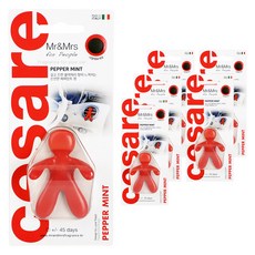 Mr&Mrs FRAGRANCE Cesare Blister 車用芳香劑 主體, 6個, 薄荷