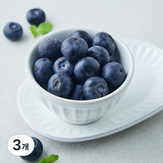 GAP 인증 동서천농협 블루베리 특, 3개, 100g
