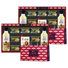 CJ제일제당 특별한 NE호 선물세트, 2개