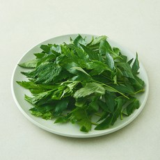 당귀잎, 50g, 1개