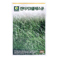 다농 캔터키31톨페스큐 씨앗 20g, 1개