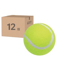 SUCCESS 一般網球 4311 穩定手感 練習首選 適合日常反覆練習, 綠色, 12個