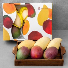 파머스기프트 혼합망고 선물세트, 2.5kg(6입), 1세트