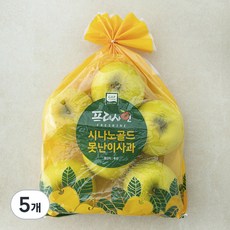 프레샤인 GAP인증 못난이 시나노골드 사과, 2kg(소과, 12입내), 5개