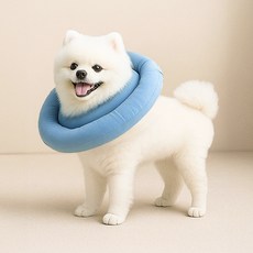 Leto 狗狗貓咪頸圈 防水超輕量 大型犬小型犬, 藍色, 1個