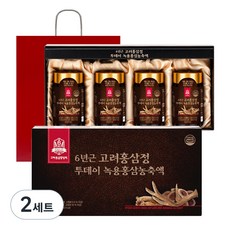 고려홍삼중앙회 6년근 고려홍삼정 투데이 녹용홍삼 농축액 + 쇼핑백, 1kg, 2세트