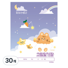 아이비스 그림 CR여 일기장 12458, 30개, 호당앤랑근