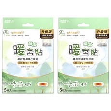 必安住 草本暖宮貼 艾草 45-50度恆溫 長效發熱10小時 透氣親膚 5片/盒, 2盒
