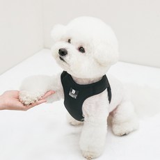 Bennys 寵物背心式胸背帶牽繩, 黑色, 1入