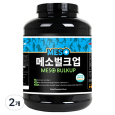 진명뉴트리션 메소벌크업 단백질 보충제 초코맛, 3.2kg, 2개