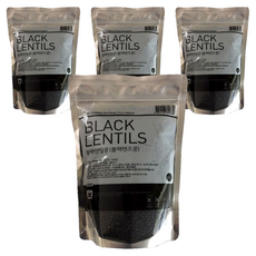 블랙렌틸콩, 500g, 4개