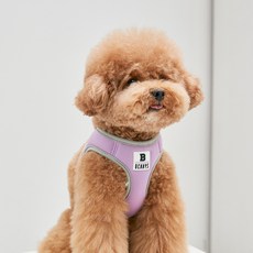 Bennys 寵物背心式胸背帶牽繩, 紫色, 1件