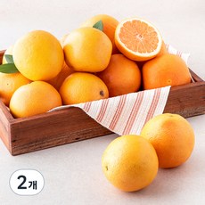 만나 미국산 자몽, 5kg, 2개