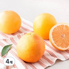 만나다 미국산 자몽, 1kg, 4개
