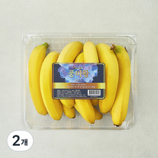 풍미왕 바나나, 2개, 2kg