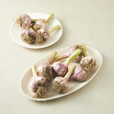창녕 햇 주대마늘 20입, 1박스, 1kg(이상)