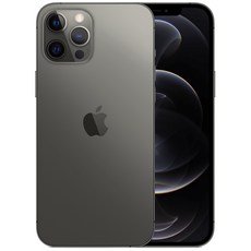 Apple 아이폰 12 Pro Max 자급제, 그래파이트, 128GB