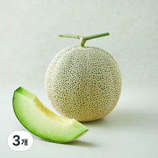 곰곰 고당도 머스크 멜론, 2.5kg, 3개