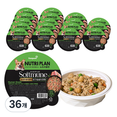 동원뉴트리플랜 1세 이상 강아지 소프트뮨 화식사료, 닭+야채, 100g, 36개