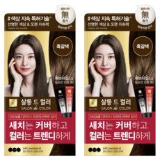 엘라스틴 살롱 드 컬러 앤 새치 염색 크림, 흑갈색, 2개